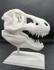 3D printed T-rex skull, BioCREATE